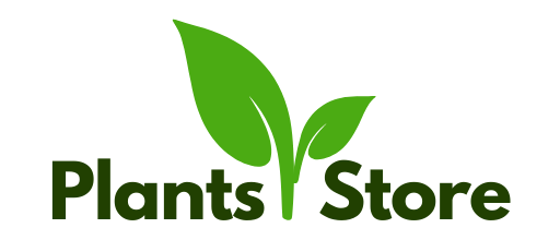 ecom.techjyotikotwal.com